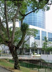 Toa Payoh North (Toa Payoh),  #591229181